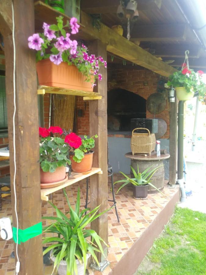 Ribarska Vila Donje Lohovo المظهر الخارجي الصورة